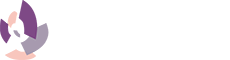 四季彩一力